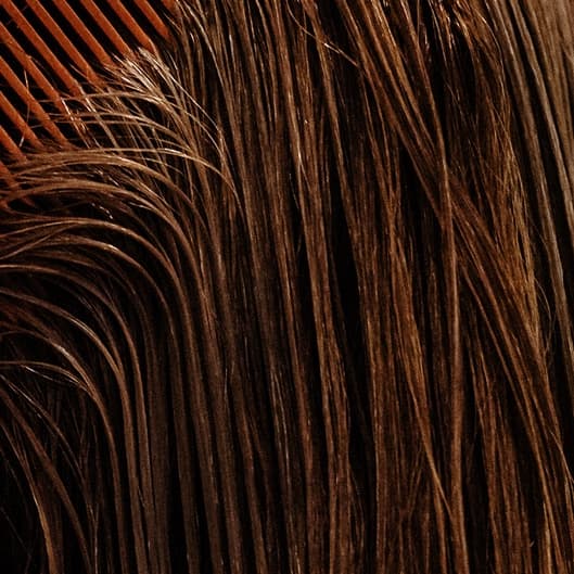 Keratin Color at THE MEMBER’S ATELIER in Myrtle Beach, SC